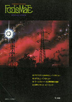 Fool`s Mate Special Stock_b